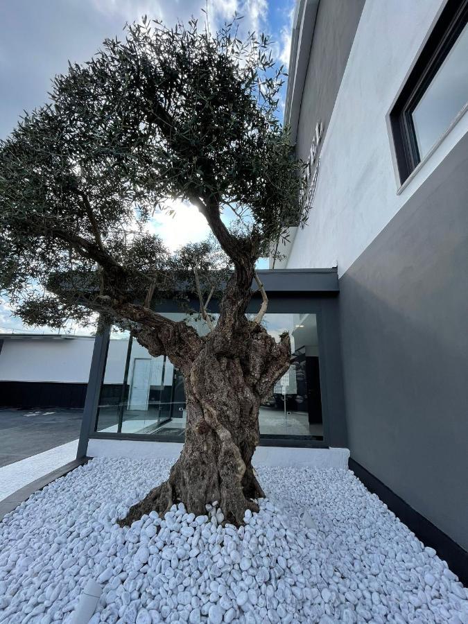 Hotel Cristian Giugliano In Campania Exteriér fotografie